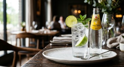 Schweppes Tonic (0.5l)